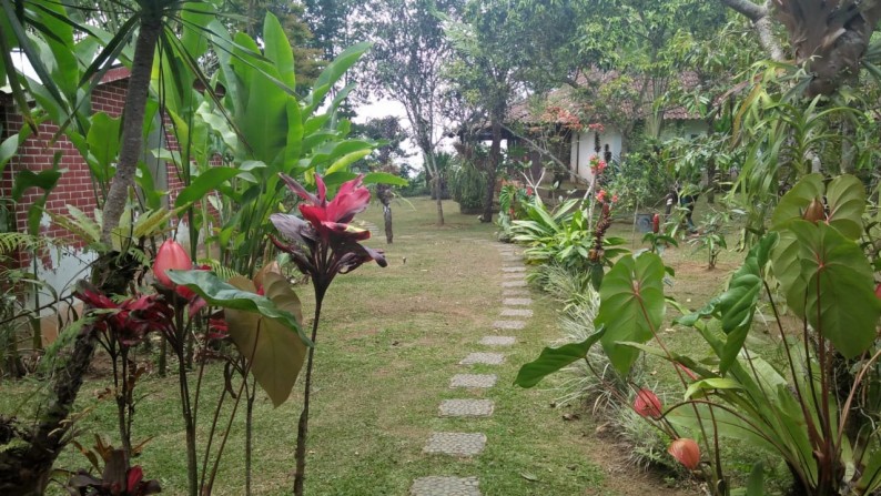 A Spacious 12,472 sq m of Freehold Villa with Beautiful Valley View For Sale Just 40 Minutes From Ubud Center