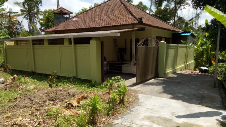 2 Bedrooms Freehold House with Forest View for sale just 20 minutes from Ubud Center