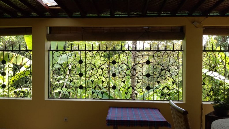 2 Bedrooms Freehold House with Forest View for sale just 20 minutes from Ubud Center