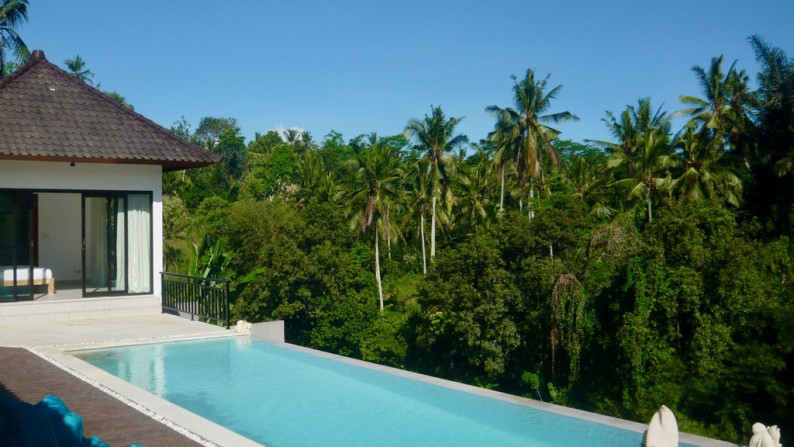 A Beautiful 3 Bedrooms with River View on 900 Sq M of Leasehold Land For Sale just 15 Minutes From Ubud Center