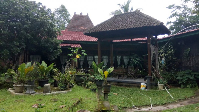  RUMAH  ETNIK JAWA  KLASIK FURNITURE HALAMAN  ASRI DI JL 