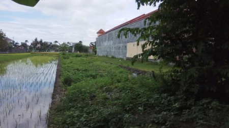 TANAH PEKARANGAN, DIATAS 1000 METER, LOKASI STRTAEGIS, RINGROAD SELATAN