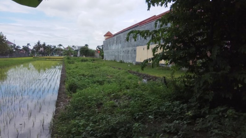 TANAH PEKARANGAN, DIATAS 1000 METER, LOKASI STRTAEGIS, RINGROAD SELATAN