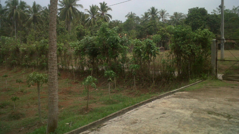 Jual Tanah di Serang - KP. Bojong