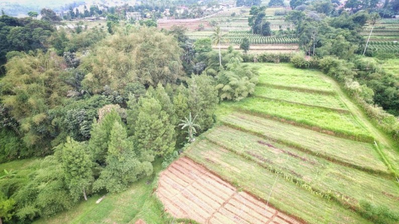 Kavling halaman luas di Ciawi Bogor