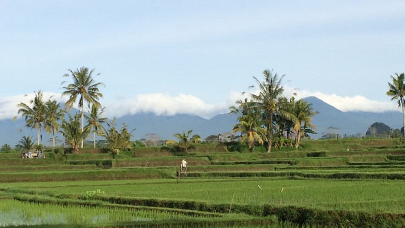 40,000 sq m Freehold Land with Amazing Views 15 Minutes from Ubud Center