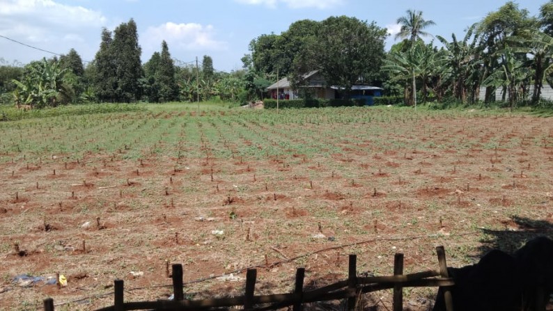 Tanah Pinggir jalan raya Cisauk