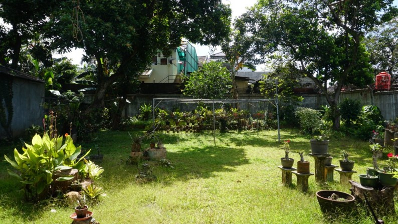 Rumah Dengan Taman Pribadi Yang Asri Di Pejaten