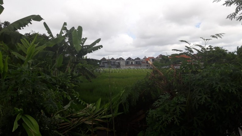 Land Leasehold 4500 Sqm in main Road Denpasar Bali