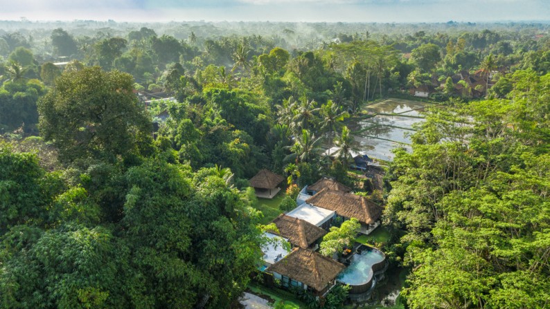 Amazing 3 Bedroom Villa on 1510 sq m of Freehold with Stunning Valley and Jungle Views 15 Minutes from Ubud Center