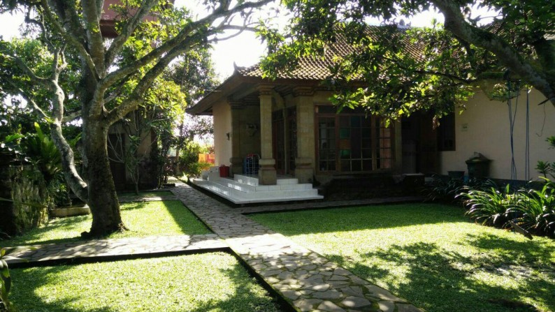 4 Bedroom Villa on 6500 sq m of Freehold Land with Beautifull Rice Field View 15 Minutes from Ubud Center