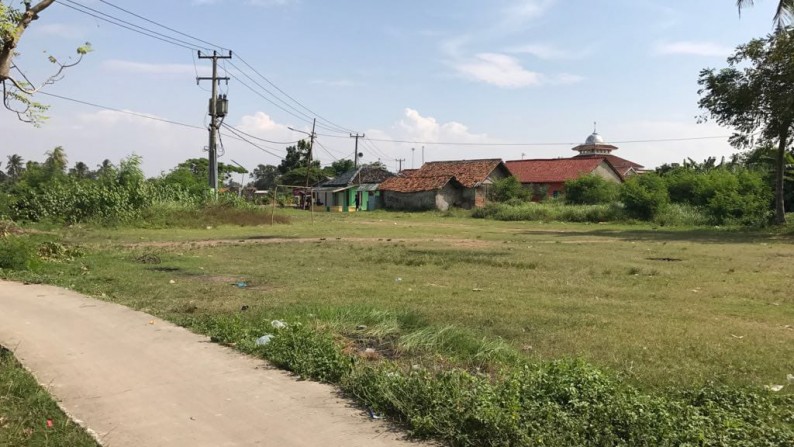 Tanah Raya Kemiri 2 KM dr Pasar Rengasdengklok, Luas 8000m2