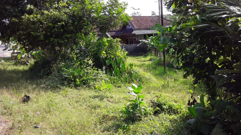 Dijual Tanah Padat di Jl Raya Karangnunggal Ciamis