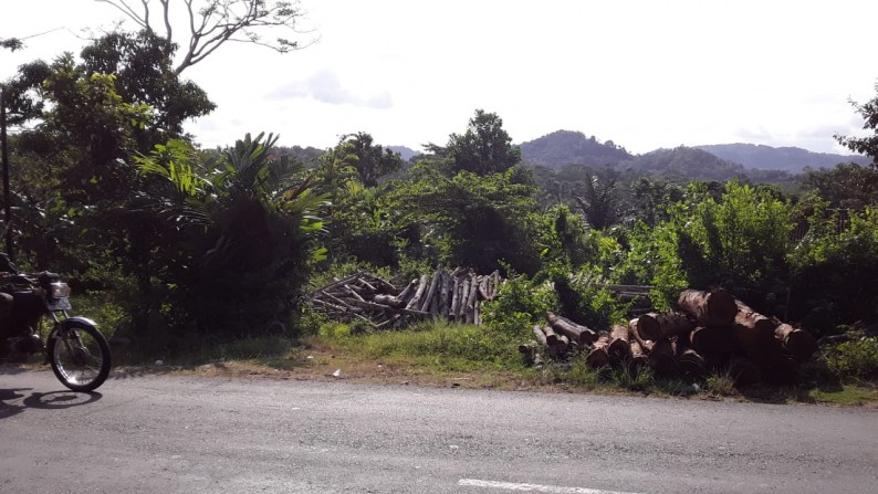 Dijual Tanah Padat di Jl Raya Karangnunggal Ciamis