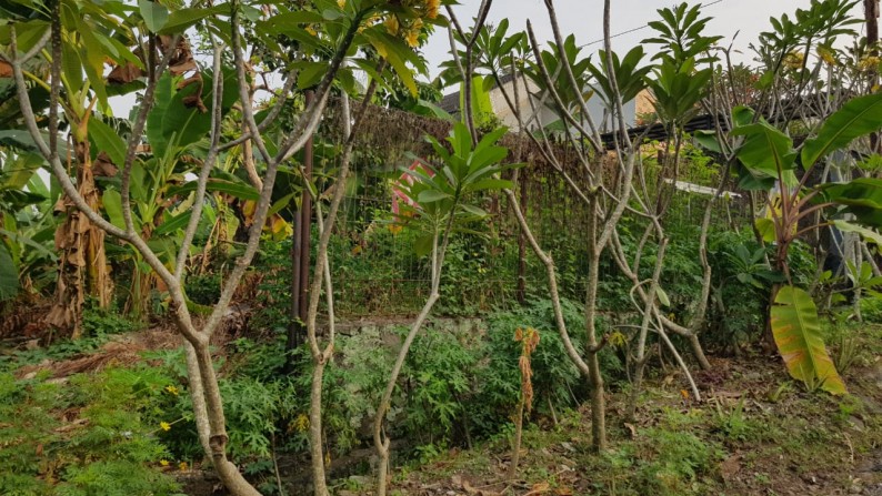 Tanah Kavling Dalam Komplek Siap Pakai  Di Cinere