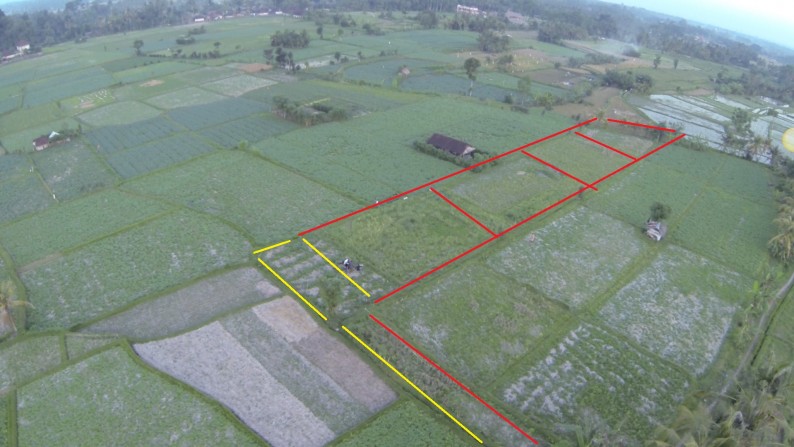 469 sq m Freehold Land with Beautiful Rice Field View 7 Minutes from Central Ubud