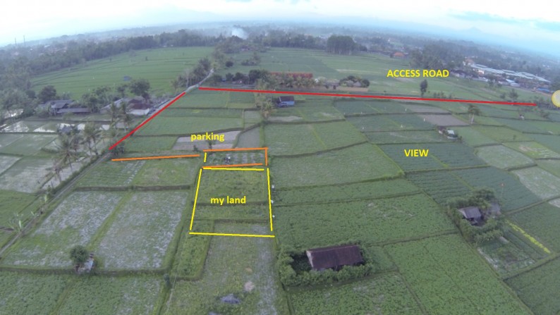 469 sq m Freehold Land with Beautiful Rice Field View 7 Minutes from Central Ubud