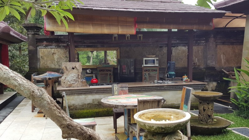 Leasehold Villa for Sale on 600 sq m of Land Located 5 Minutes from Ubud Center