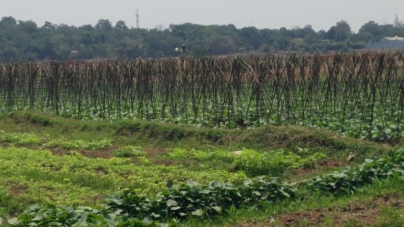 Dijual Lahan kosong, berbatasan dengan Palm 3 setu, cocok utk perumahan