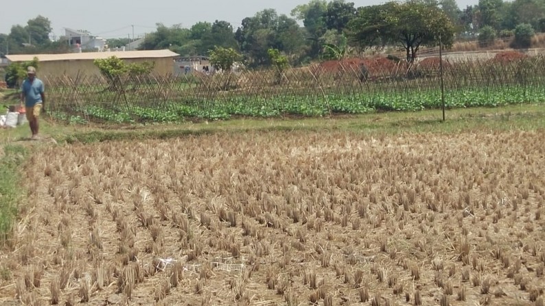 Dijual Lahan kosong, berbatasan dengan Palm 3 setu, cocok utk perumahan