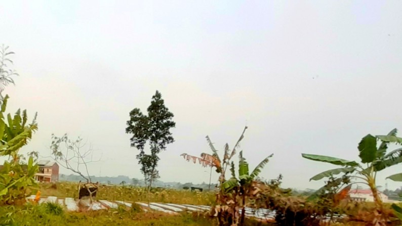 Kavling Luas 4925m di Temanggung, Jawa Tengah