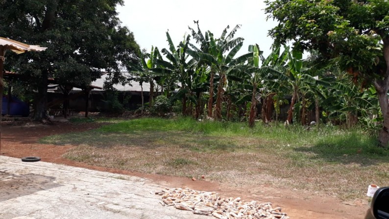 Rumah Hitung Tanah Di Gandul