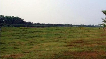 Tanah Bedugul Tabanan Bali