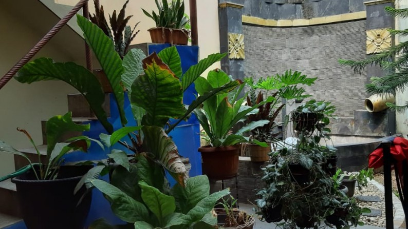 Rumah Bagus Di Jl Syamsi Raya, Islamic Karawaci