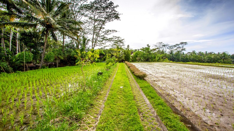 A Stunning Villa Complex wiith Amazing Jungle and Rice Field Views on 3500 sq m of Freehold Land for Sale 15 Minutes from Ubud Center