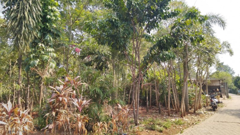 Kavling Siap Bangun, Lokasi Strategis @Pondok Kacang Barat, Pd Aren