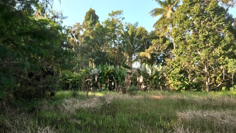 6181 sq m Freehold Land with Amazing Ravine and Jungle Views 10 Minutes from Central Ubud