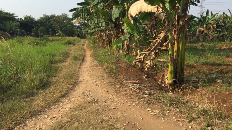 Kavling Siap Bangun, Cocok Untuk Cluster, dan Invest Yang Menguntungkan @Cikeas, Bogor