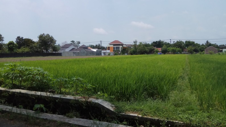 TANAH SAWAH DI DEKAT JL GODEAN KM 8, SLEMAN