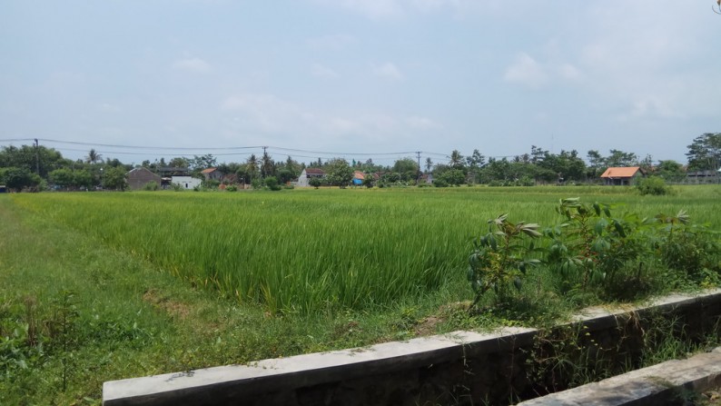 TANAH SAWAH DI DEKAT JL GODEAN KM 8, SLEMAN