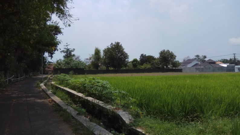 TANAH SAWAH DI DEKAT JL GODEAN KM 8, SLEMAN