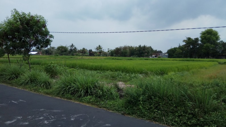 TANAH SAWAH DI DEKAT JL GODEAN KM 8, SLEMAN