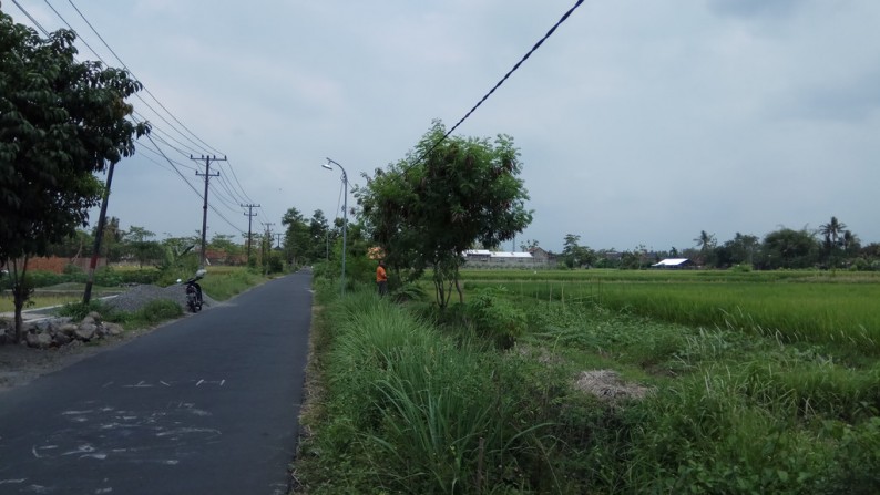 TANAH SAWAH DI DEKAT JL GODEAN KM 8, SLEMAN