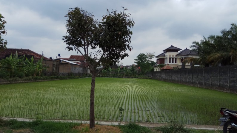 TANAH SAWAH DI COKRO KENTENG, SIDOAARUM, GODEAN, SLEMAN.