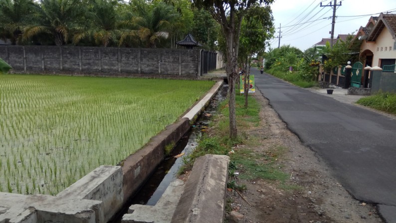 TANAH SAWAH DI COKRO KENTENG, SIDOAARUM, GODEAN, SLEMAN.