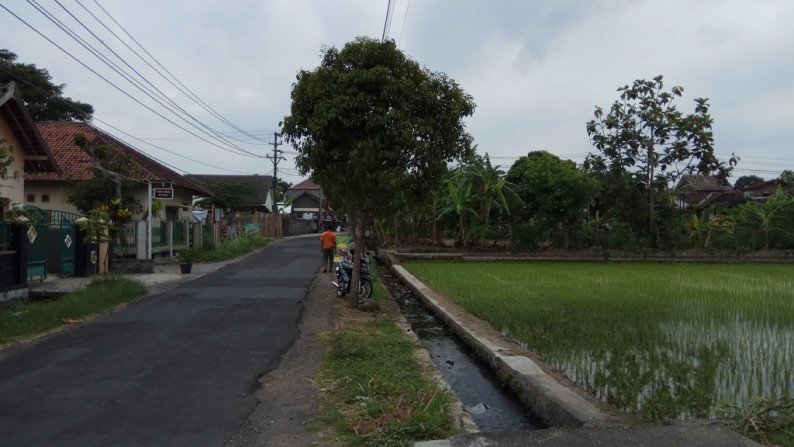 TANAH SAWAH DI COKRO KENTENG, SIDOAARUM, GODEAN, SLEMAN.