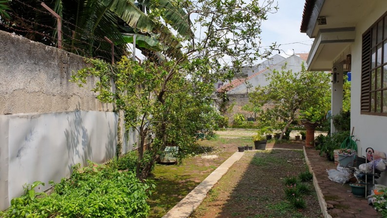 Rumah Halaman Besar ,siap huni di Pondok Karya