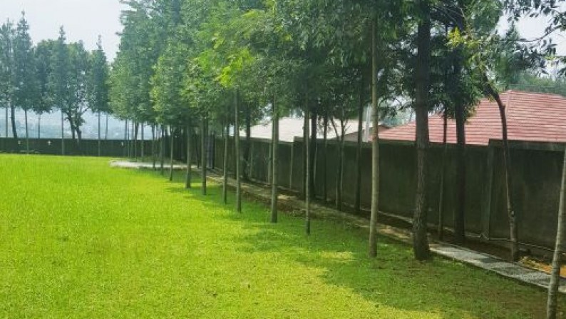 Tanah Megamendung di Jalan Alternatif Menuju Puncak Bogor