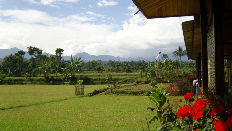 VILLA FOR SALE IN GADOG AREA (Bogor-Puncak)