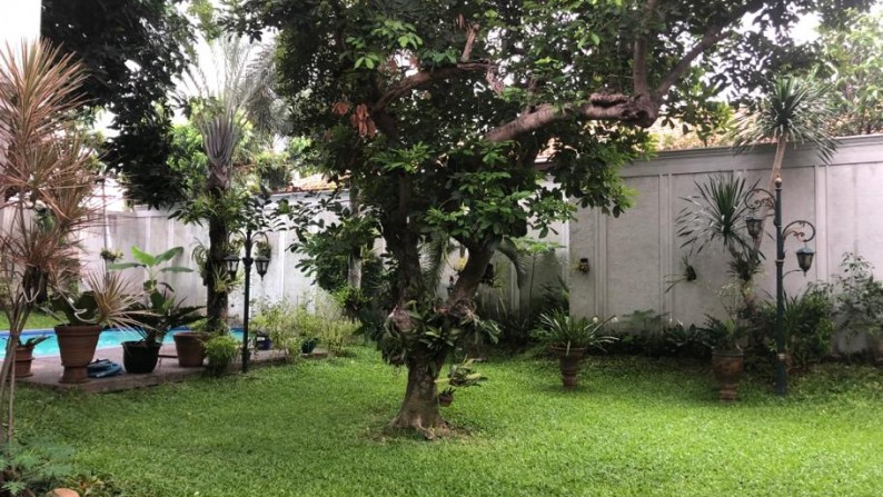 Rumah Besar dengan Taman Cantik & Kolam Renang di Cipete Jakarta Selatan