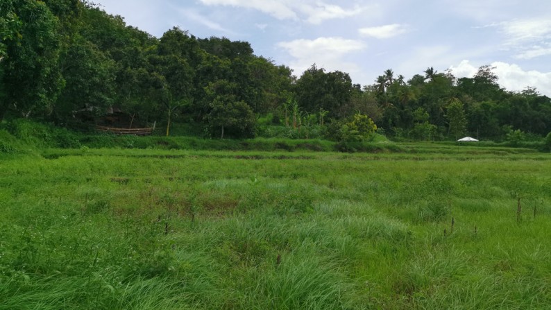 Land for Sale with Low Price in the Area