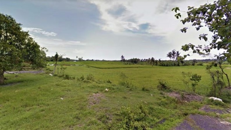 Freehold Land In Serene Area In Greater Canggu