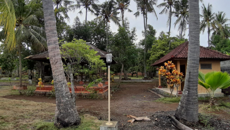 Beachfront Land at Kubutambahan 