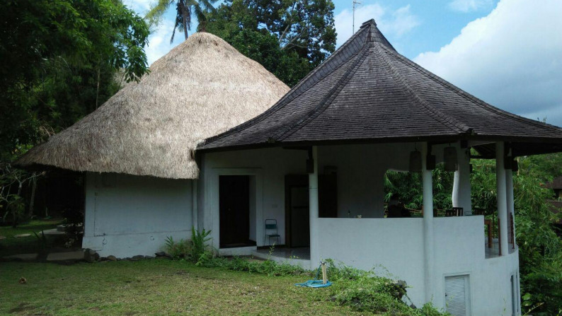 3 Bedroom Leasehold Villa with Amazing Views of the Forest for Sale Located 7 Minutes from Ubud Center