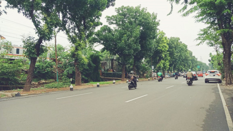 Rumah Klasik dengan halaman luas di Bintaro, Jakarta Selatan