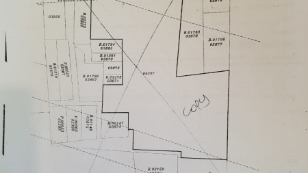 Rumah Dijual Plumpang Raya Semper, Luas 1.644m2, 1 lantai